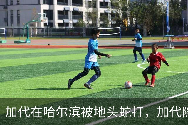 加代在哈尔滨被地头蛇打，加代隐忍不发，三天后哈尔滨高层大换血