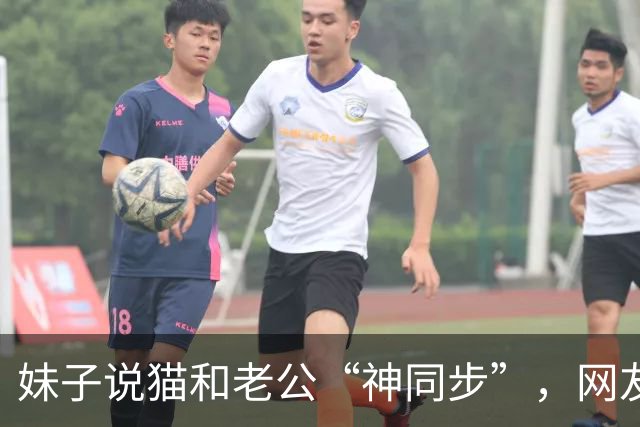 妹子说猫和老公“神同步”，网友不信，结果一看：原来猫咪真的会选“师父”！