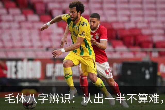 毛体八字辨识：认出一半不算难，读懂这三处笔意才是真功夫